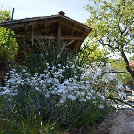 בית כפרי Macedonia, Accommodations,rentals