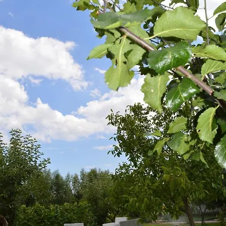Macedonia, Accommodations,rentals